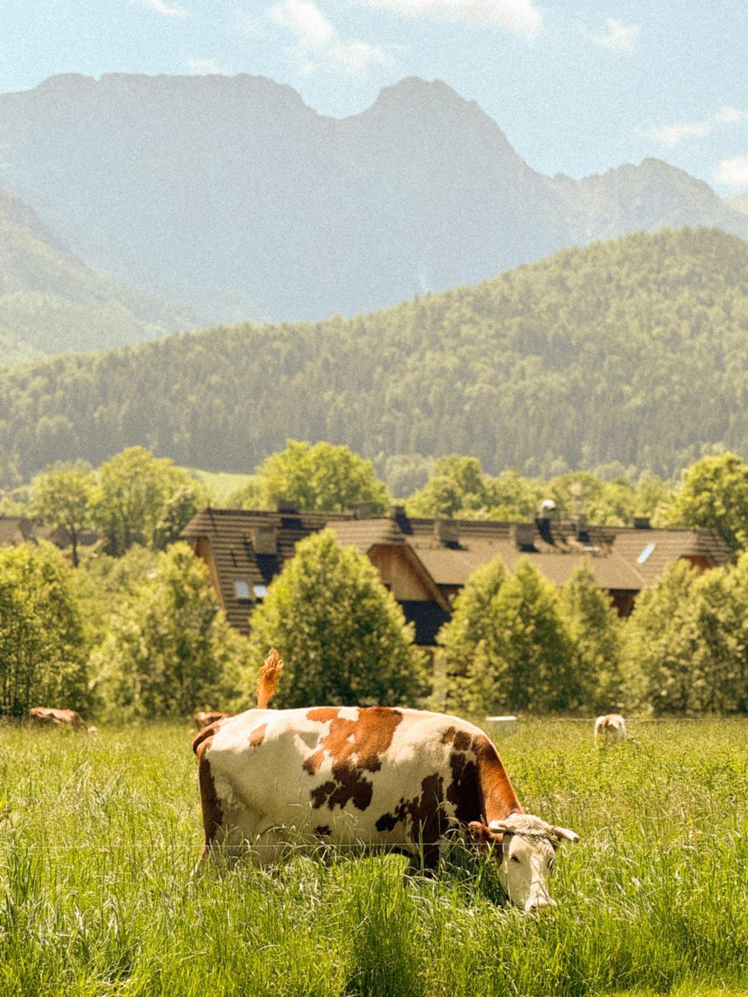 Bartusiowa Osada Закопане